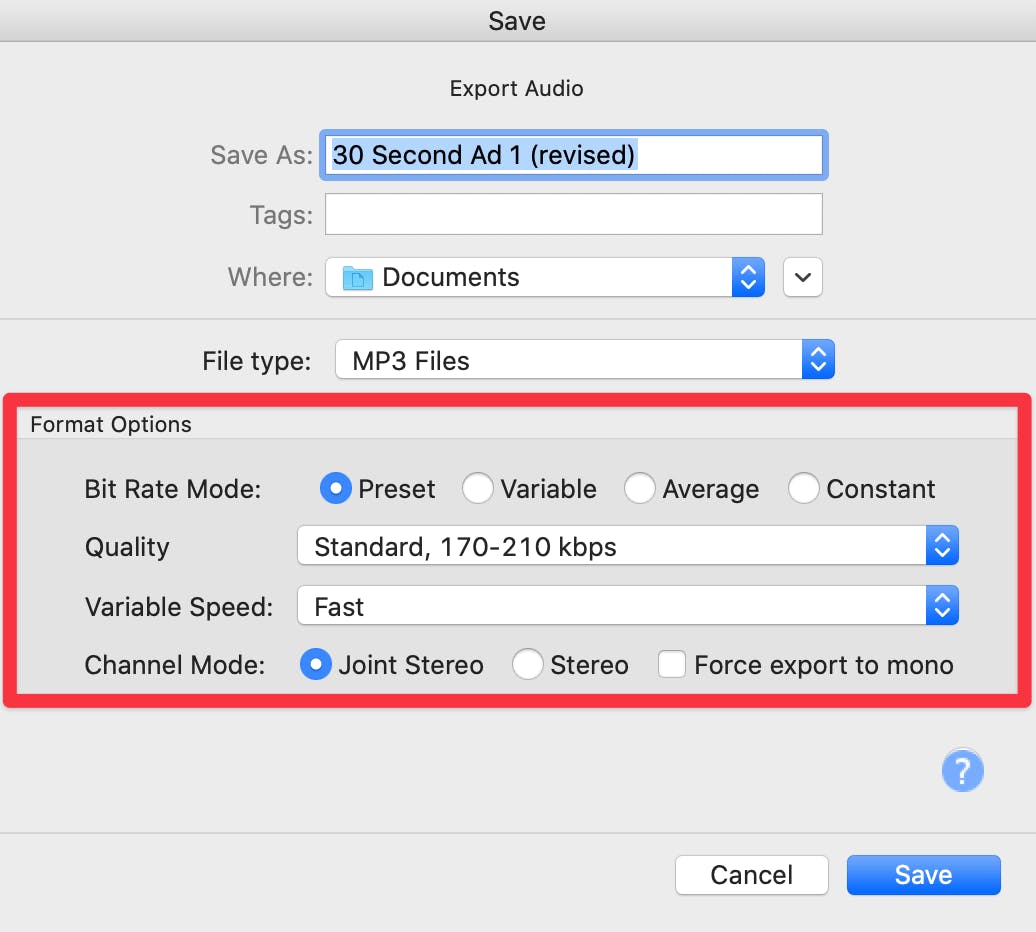 Export audio menu with red box around Format Options